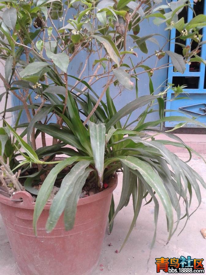 20130302_143130.jpg