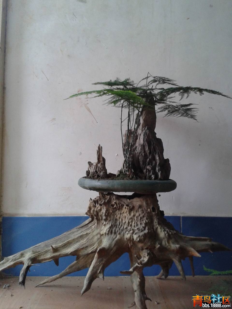20130302_151822.jpg