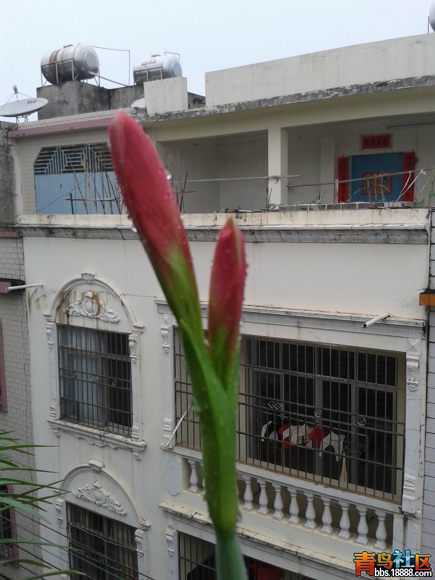 20130328_132244.jpg
