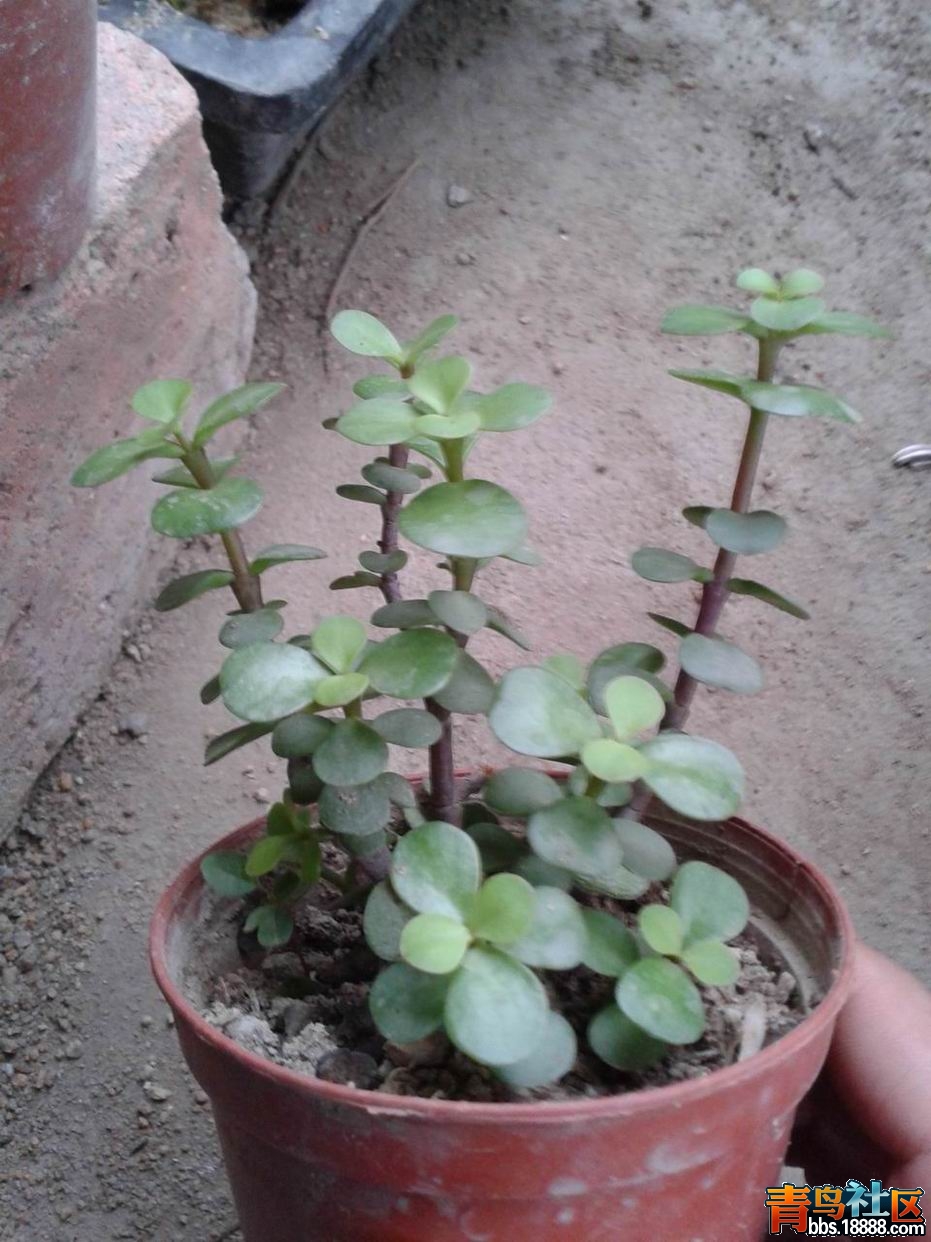 20130327_174236.jpg