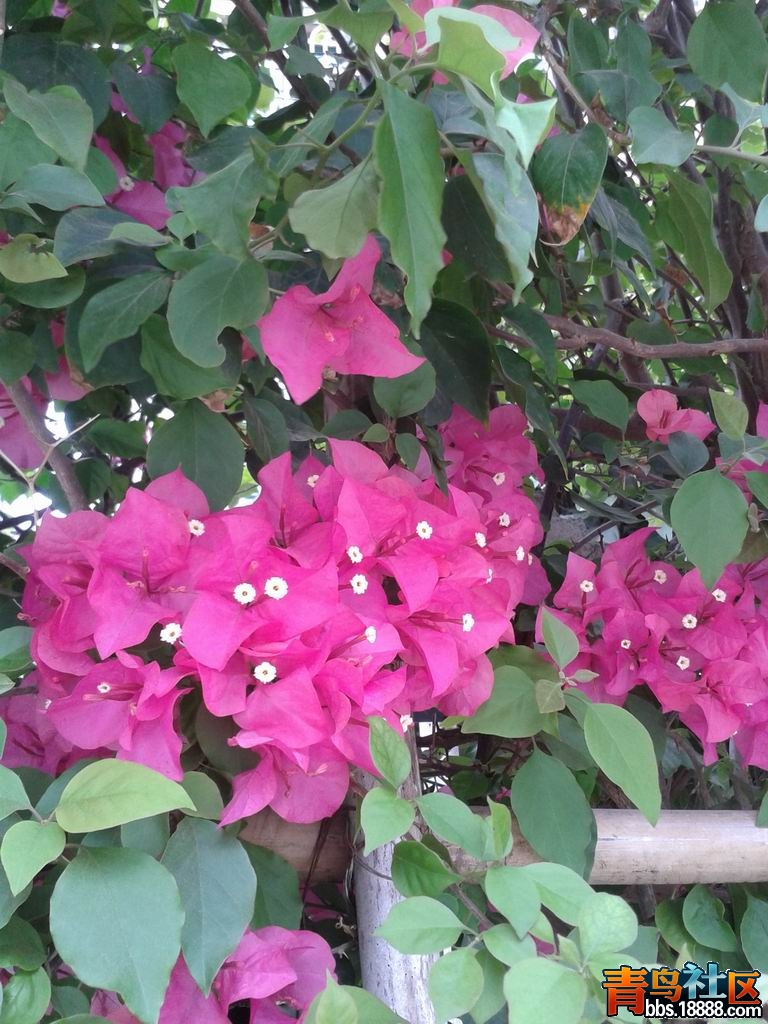 20130317_133925.jpg