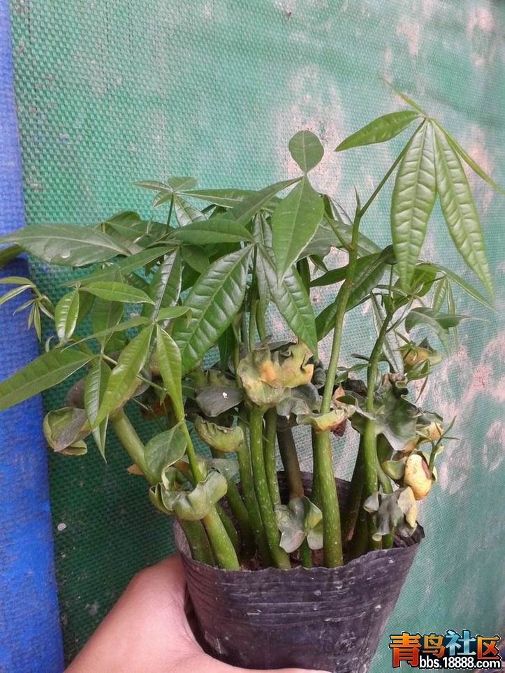 20130315_141307.jpg