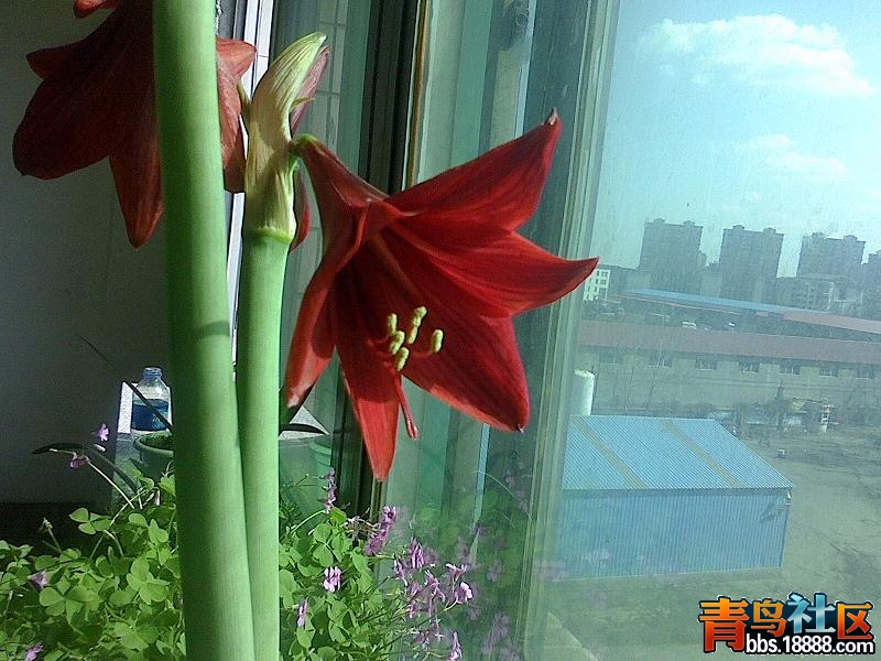 IMG0329135602.jpg