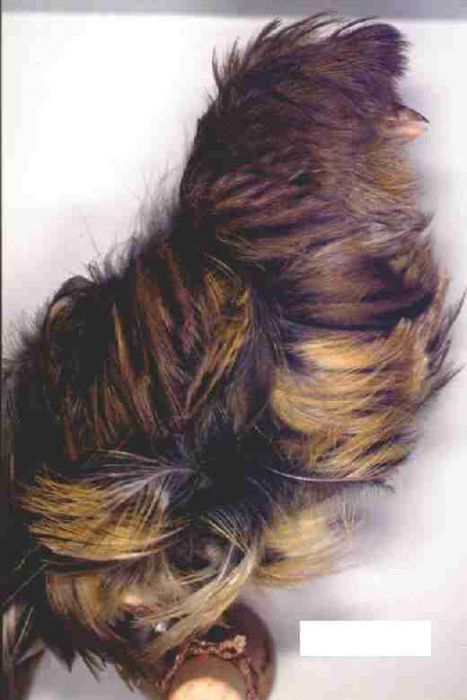 foto9.jpg