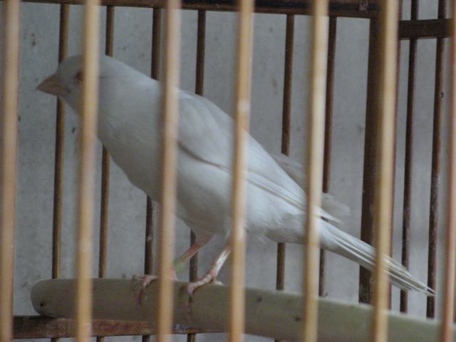 IMG_5913.JPG