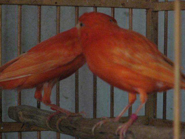 IMG_5961.JPG