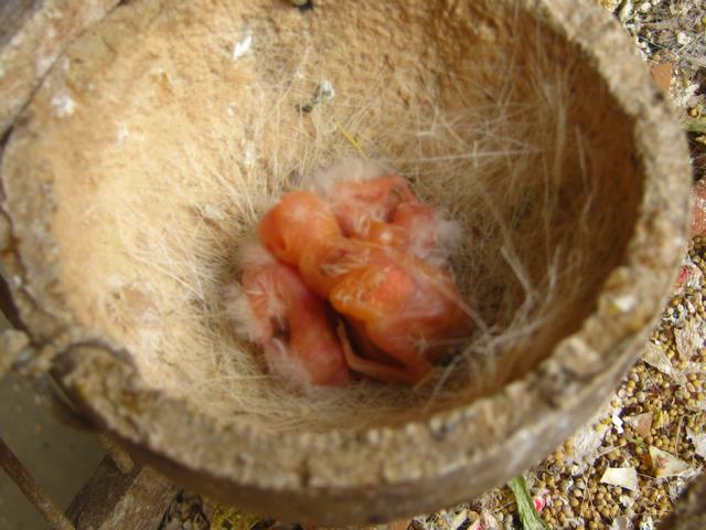 mama 039.jpg