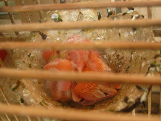 mama 024.jpg