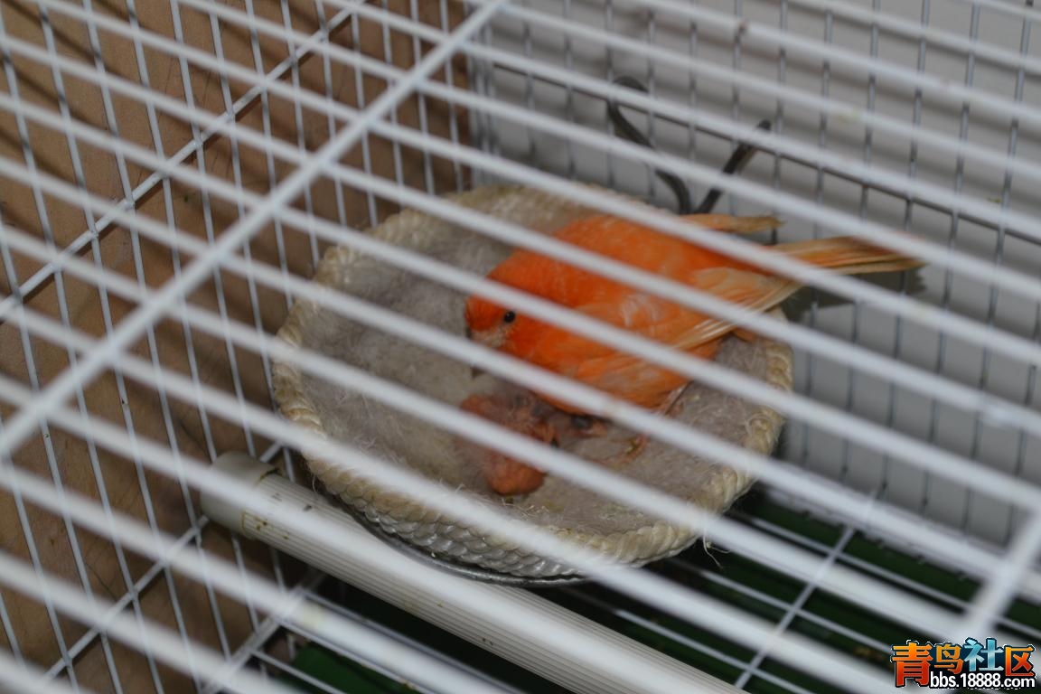 DSC_0025.jpg
