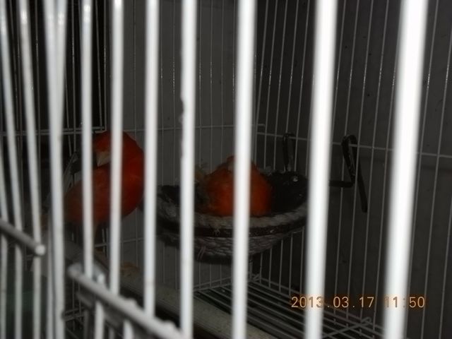 nEO_IMG_照片 012.jpg