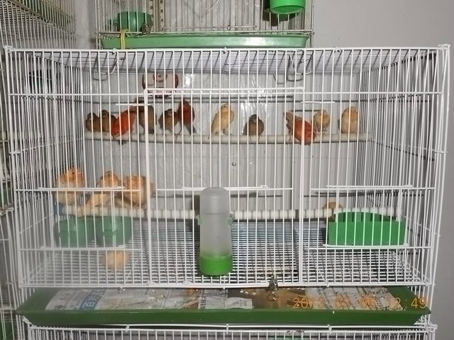 nEO_IMG_照片 001.jpg
