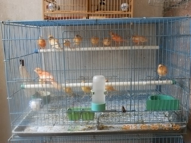 nEO_IMG_照片 004.jpg
