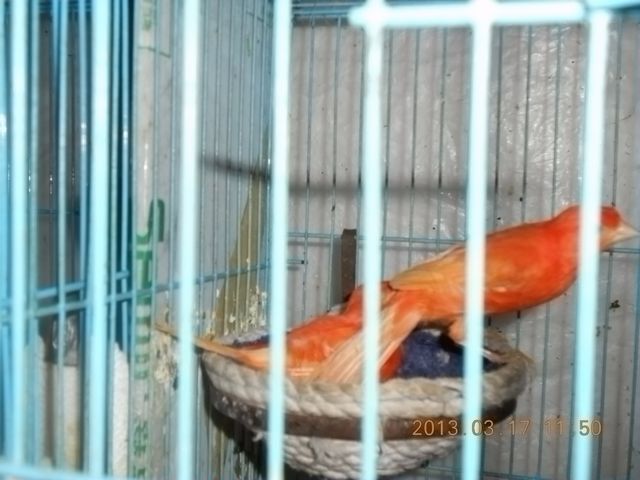 nEO_IMG_照片 014.jpg
