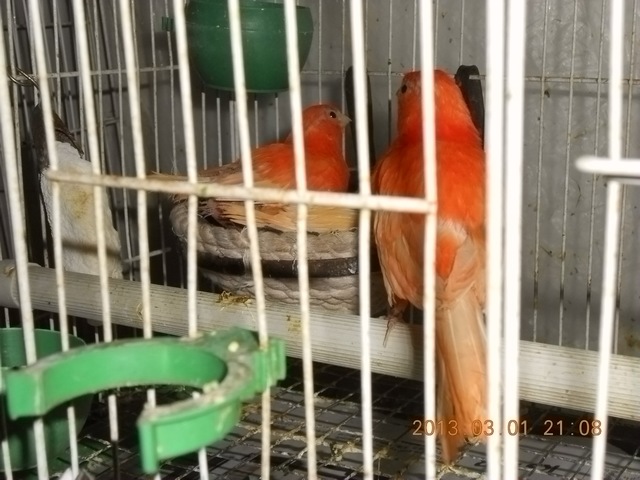 nEO_IMG_照片 008.jpg