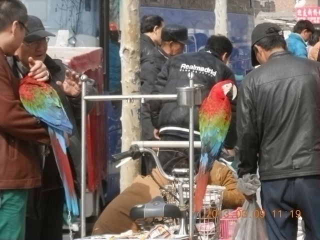 nEO_IMG_照片 023.jpg