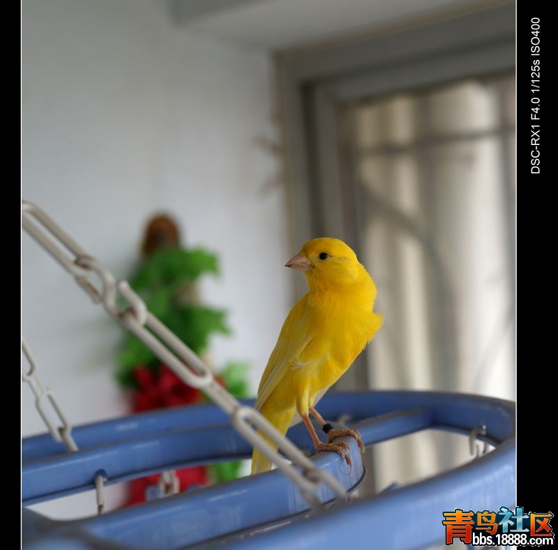 DSC01601.jpg
