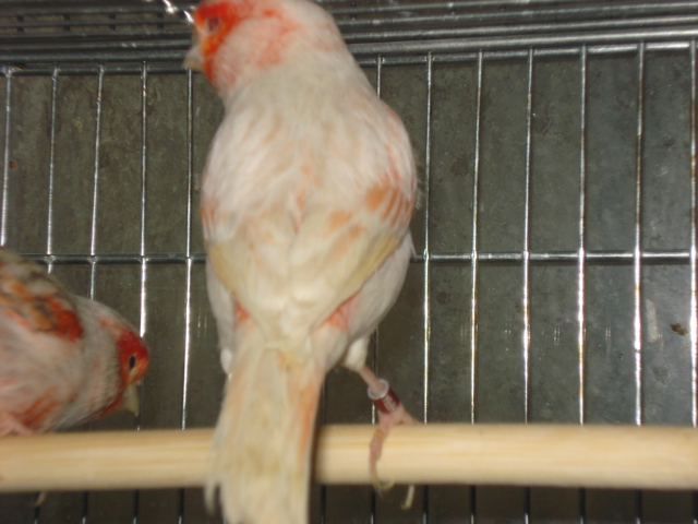 DSC00732.JPG