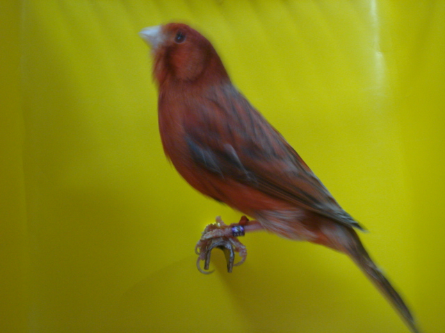 DSC00712.JPG
