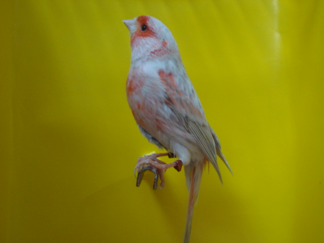 DSC00714.JPG
