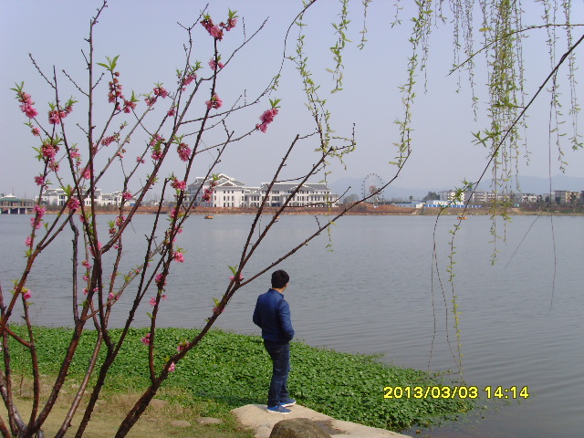 SNV36381.JPG