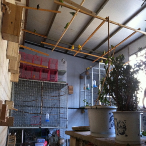 101APPLE_IMG_1462.jpg