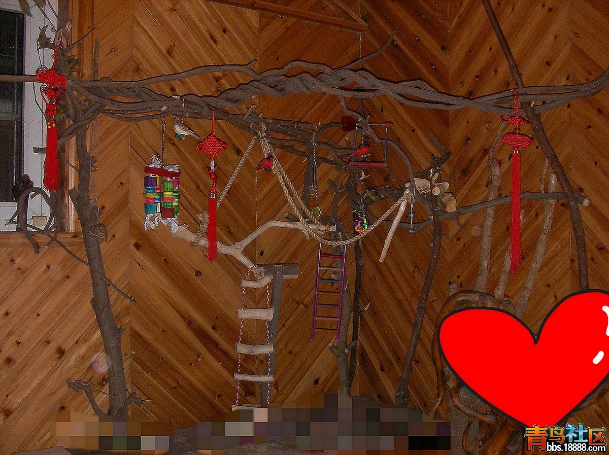 1_meitu_1.jpg