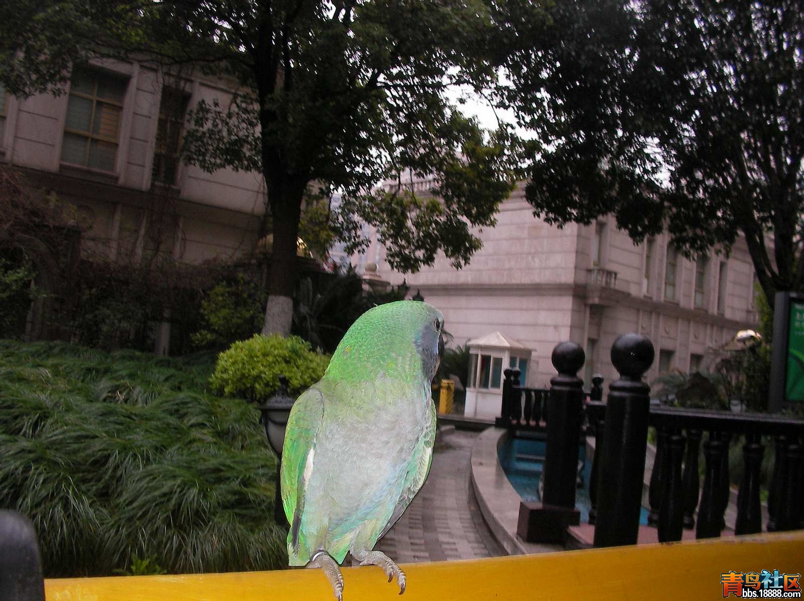 SANY0023.JPG