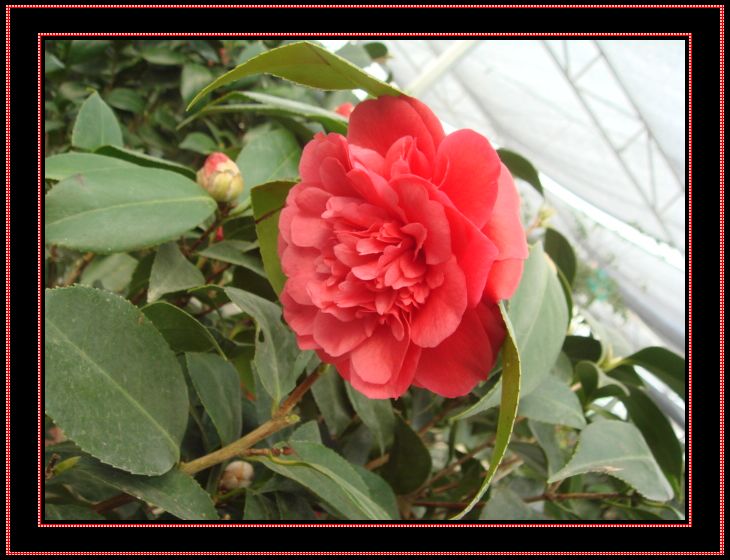 DSC08962.JPG