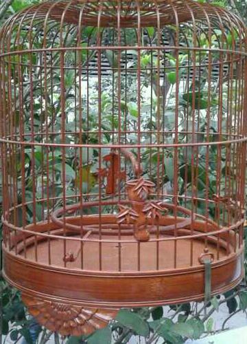 IMG-20121102-WA0004-1.jpg