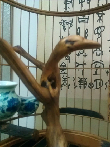 WP_001848.jpg