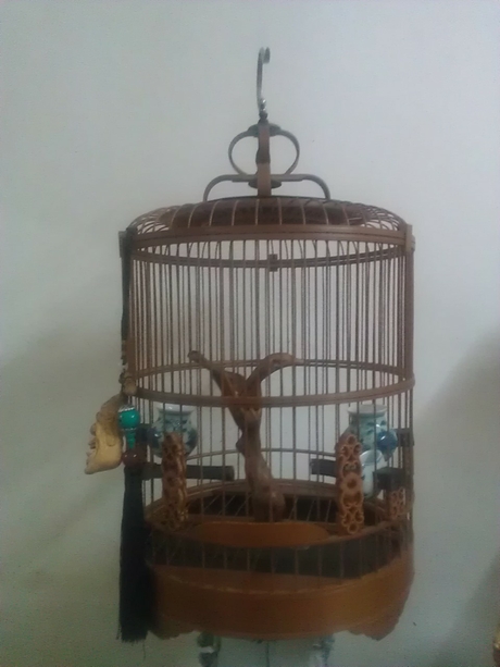 WP_001839.jpg