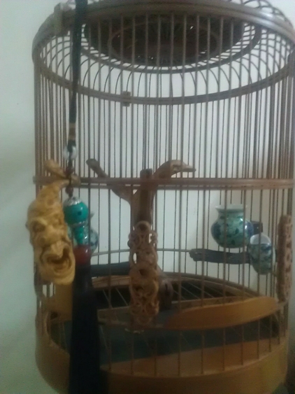 WP_001841.jpg