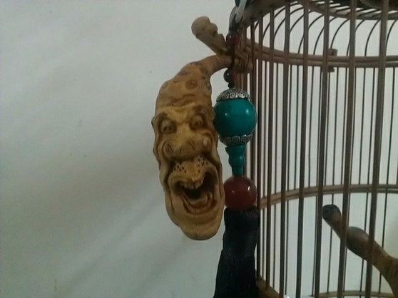 WP_001842.jpg