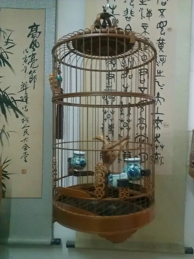 WP_001852.jpg