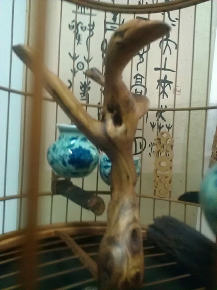 WP_001849.jpg