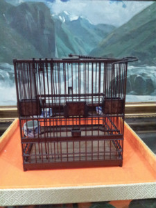 20130309_125025.jpg
