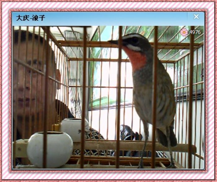 XHF9(T4Q7~C9_88H{WBE}PB.jpg