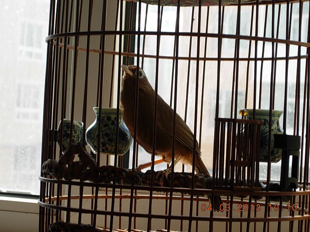 DSCN0778.jpg