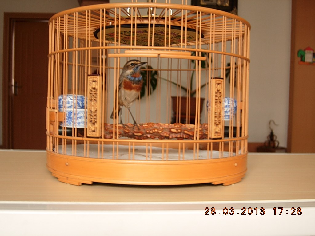 DSCN1275.jpg
