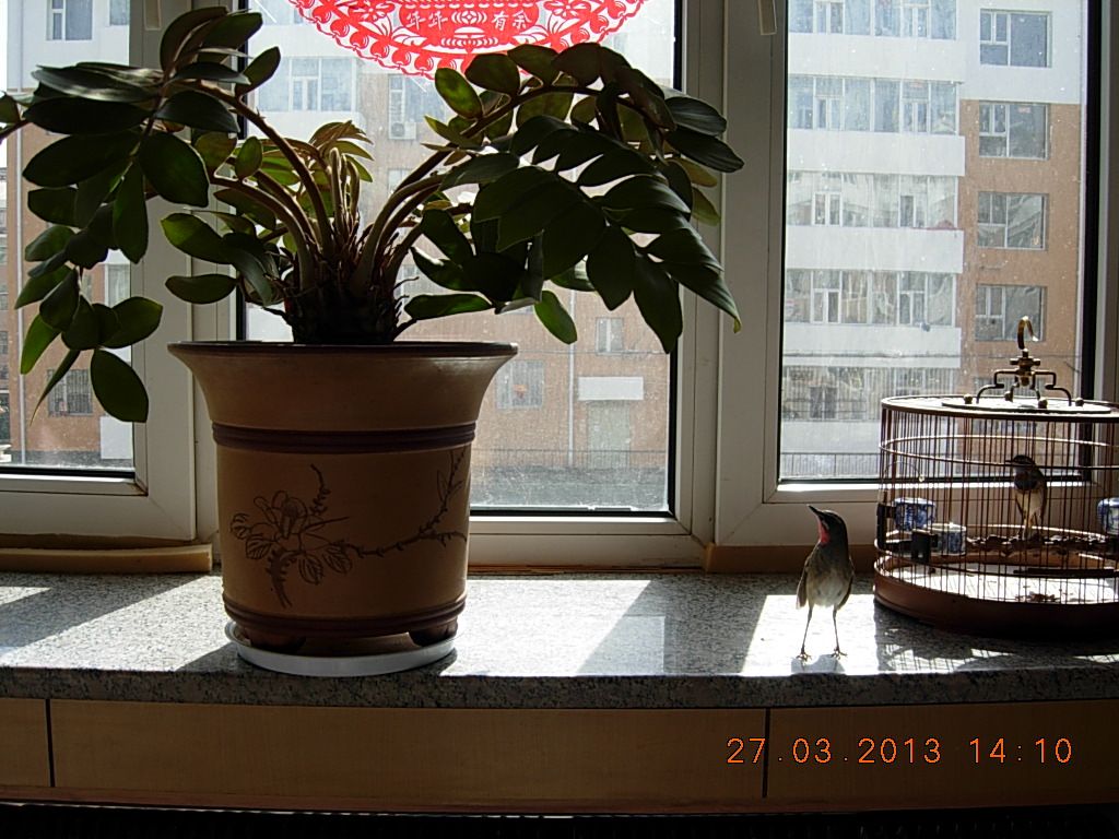 DSCN1195.jpg
