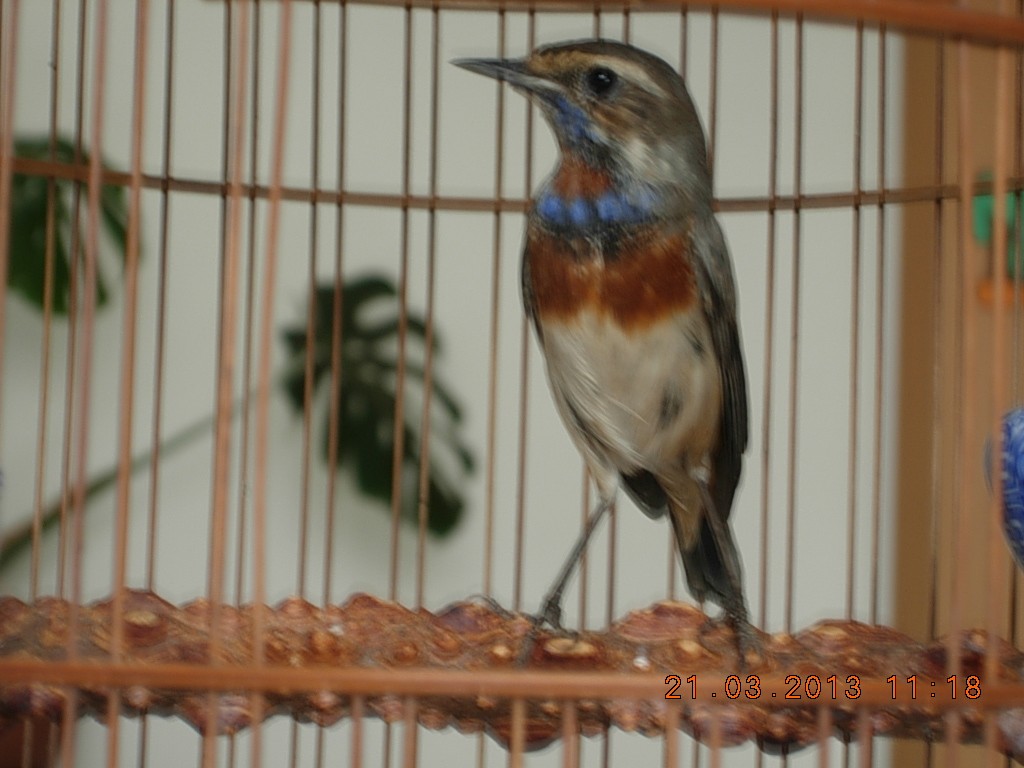 DSCN1067.jpg