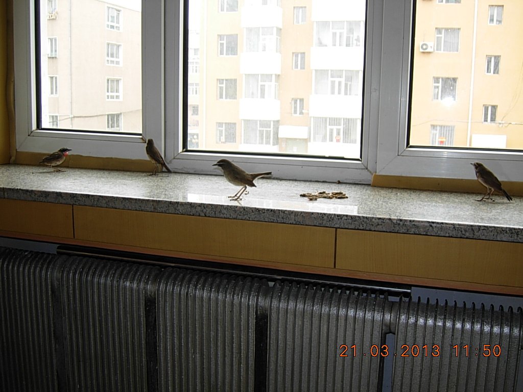 DSCN1091.jpg