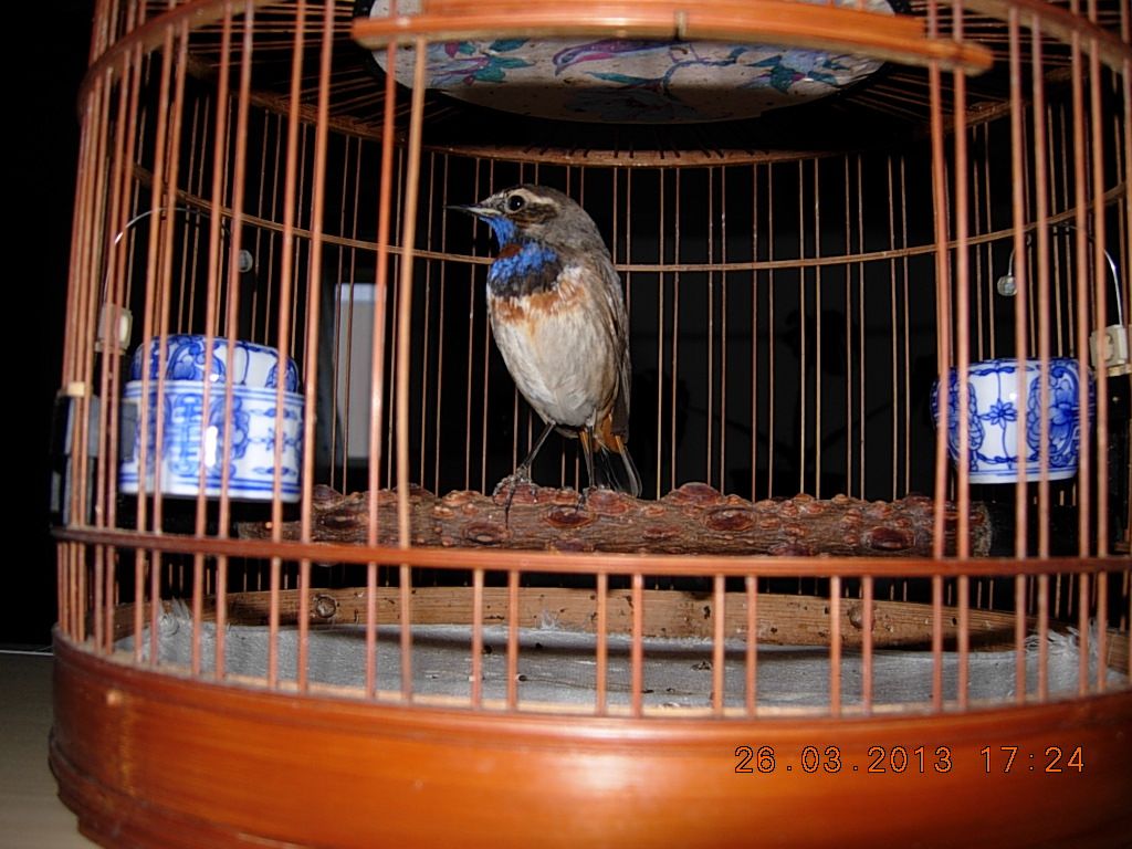 DSCN1158.jpg