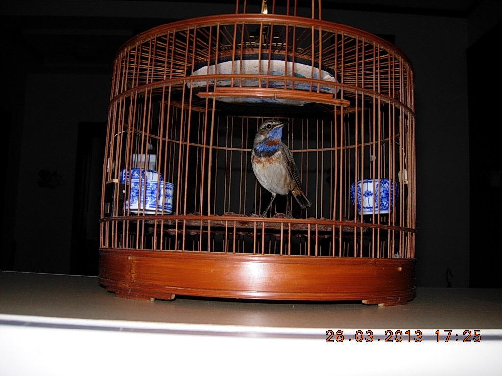 DSCN1160.jpg