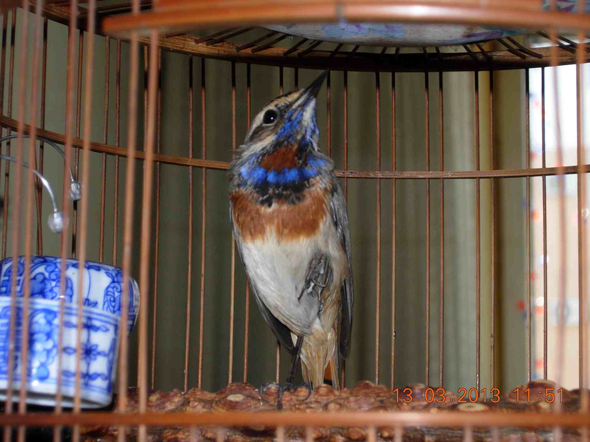 DSCN0921.jpg