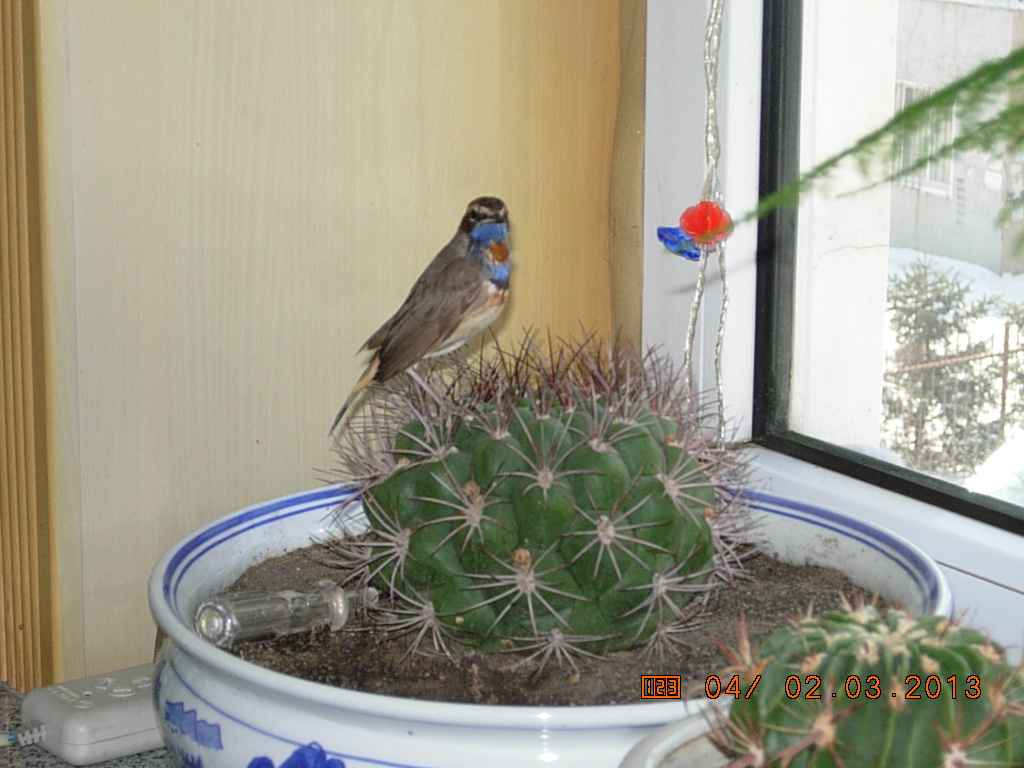 DSCN0202.jpg
