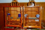 s-P1010433.jpg
