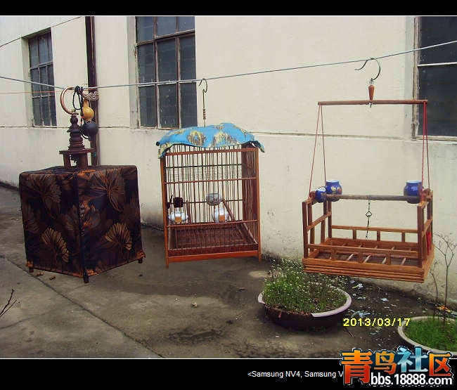 SDC13687.jpg