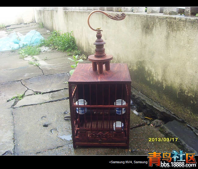 SDC13671.jpg