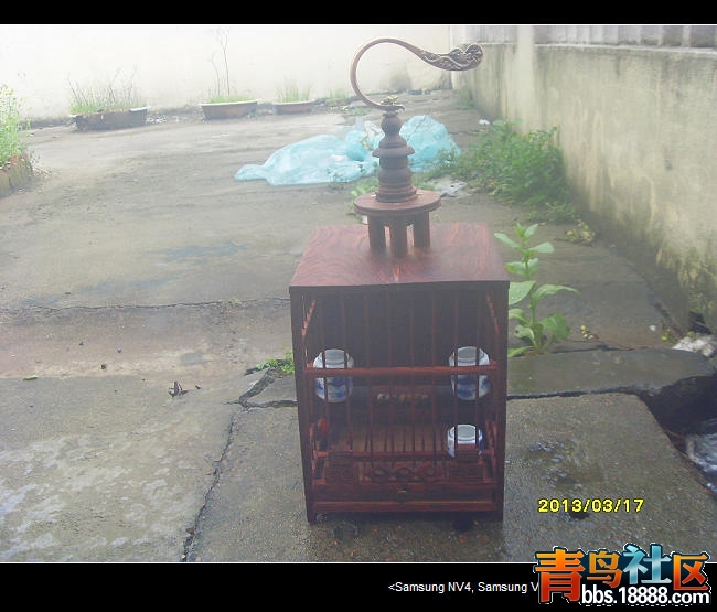 SDC13678.jpg